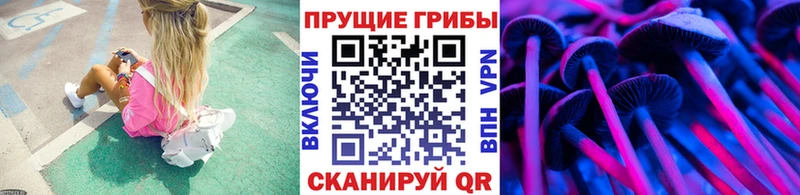 Галлюциногенные грибы мухоморы  Купить закладки  Бирюч 
